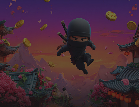 Ninja Crash